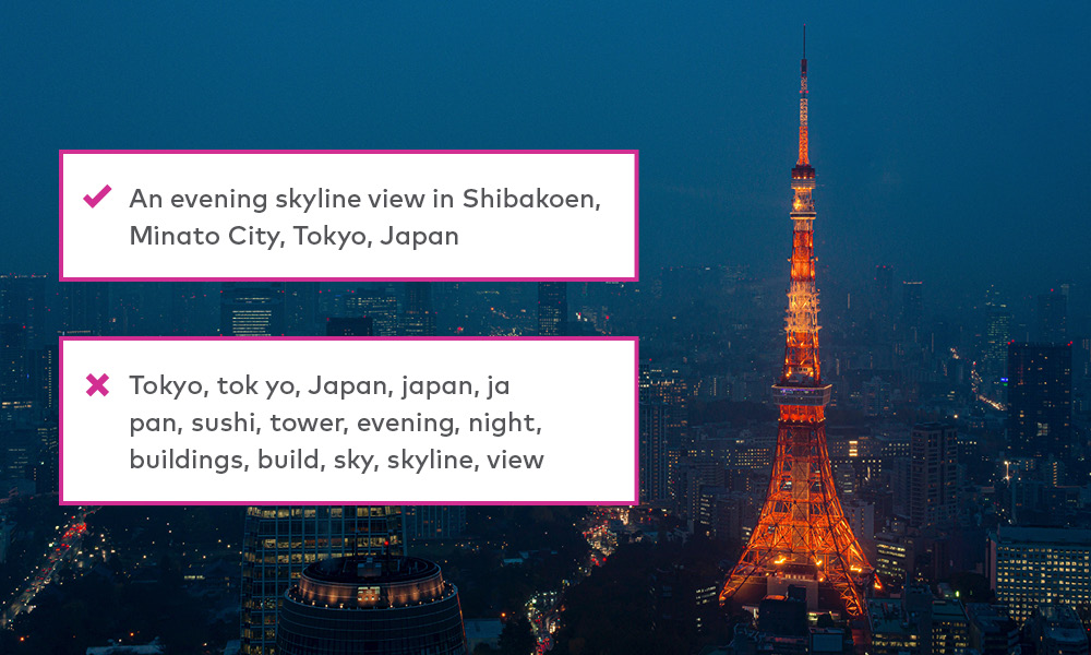 The Tokyo Tower and skyline at night with alt text examples
